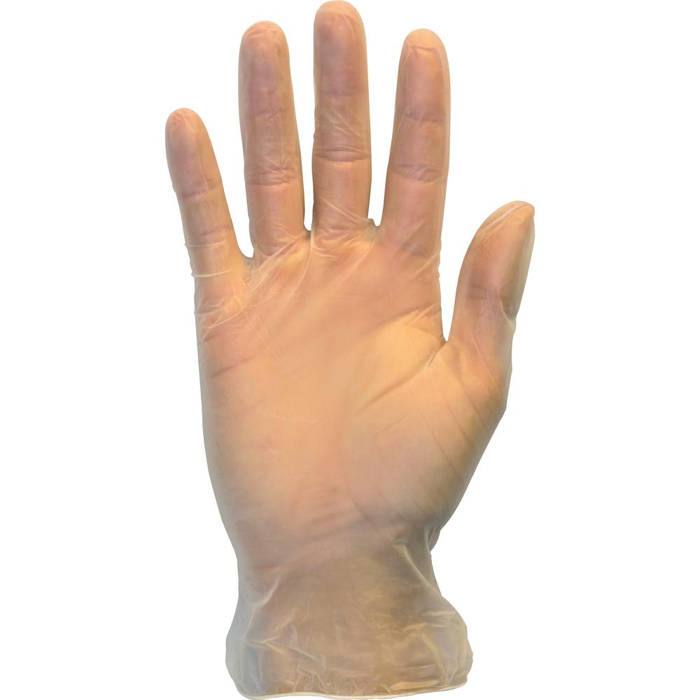 Safety Zone Powder Free Clear Vinyl Gloves - Small Size - Clear - Latex-free, DEHP-free, DINP-free, PFAS-free, DINP-free - For Food Preparation, Cleaning - 1000 / Carton - 9.25" Glove Length