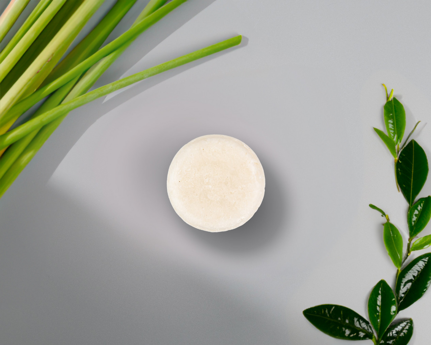 Sulfate-Free Shampoo Bar (Bundle)