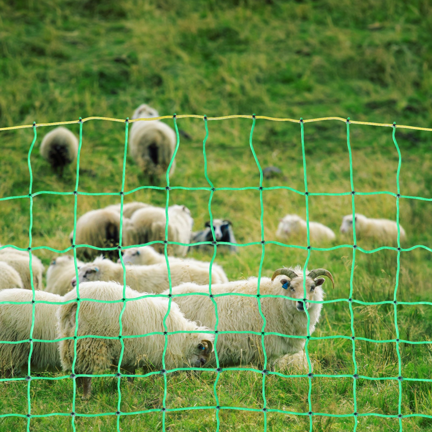 VEVOR Electric Fence Netting, 35" H x 164' L, PE Net Fencing with Posts & Double-Spiked Stakes, Utility Portable Mesh for Goats, Sheep, Lambs, Deer, Hogs, Dogs, Used in Backyards, Farms, and Ranches