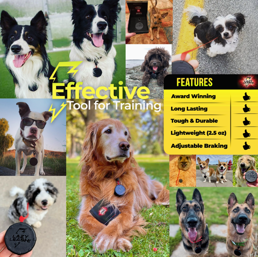 Pets Pocket-Size Wearable DOG LEASH (18 Pc Counter Display Set)