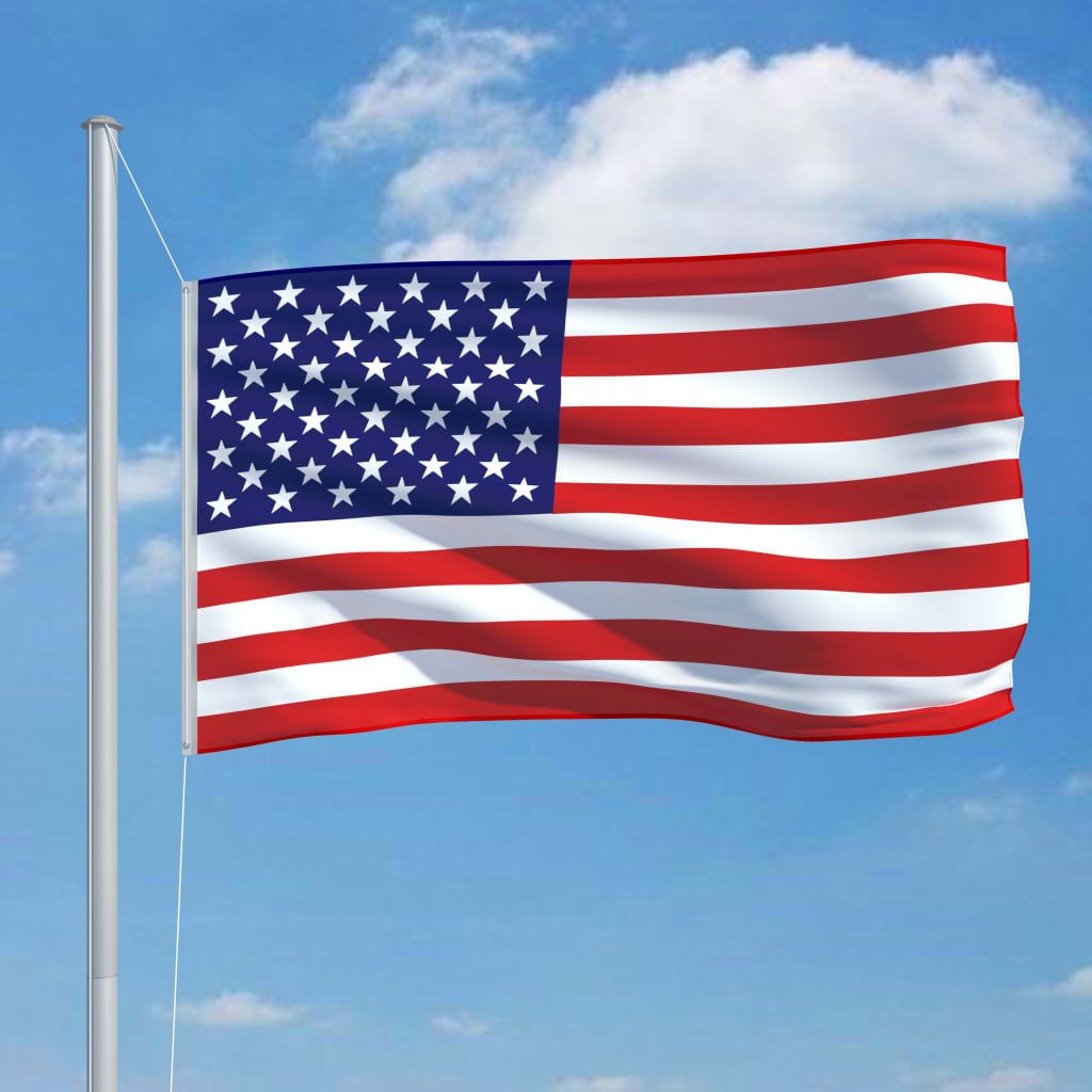 vidaXL US Flag and Pole Aluminum 20.3'