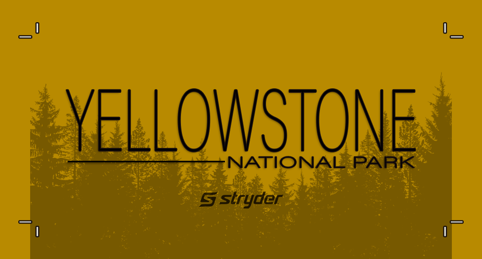 Yellowstone Destination RCH112FP Yellow on H.Gray, Gold