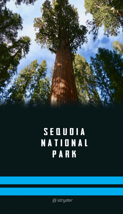 Sequioa National Park Gaiter