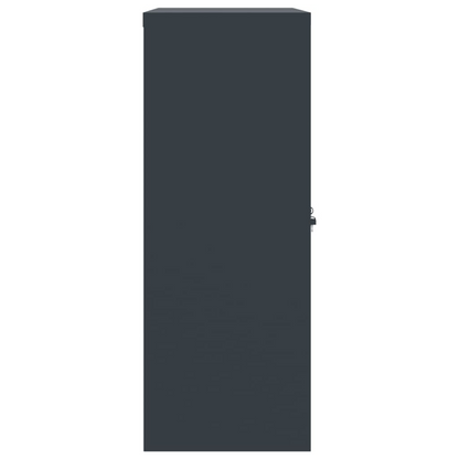 vidaXL File Cabinet Anthracite 35.4"x15.7"x41.3" Steel