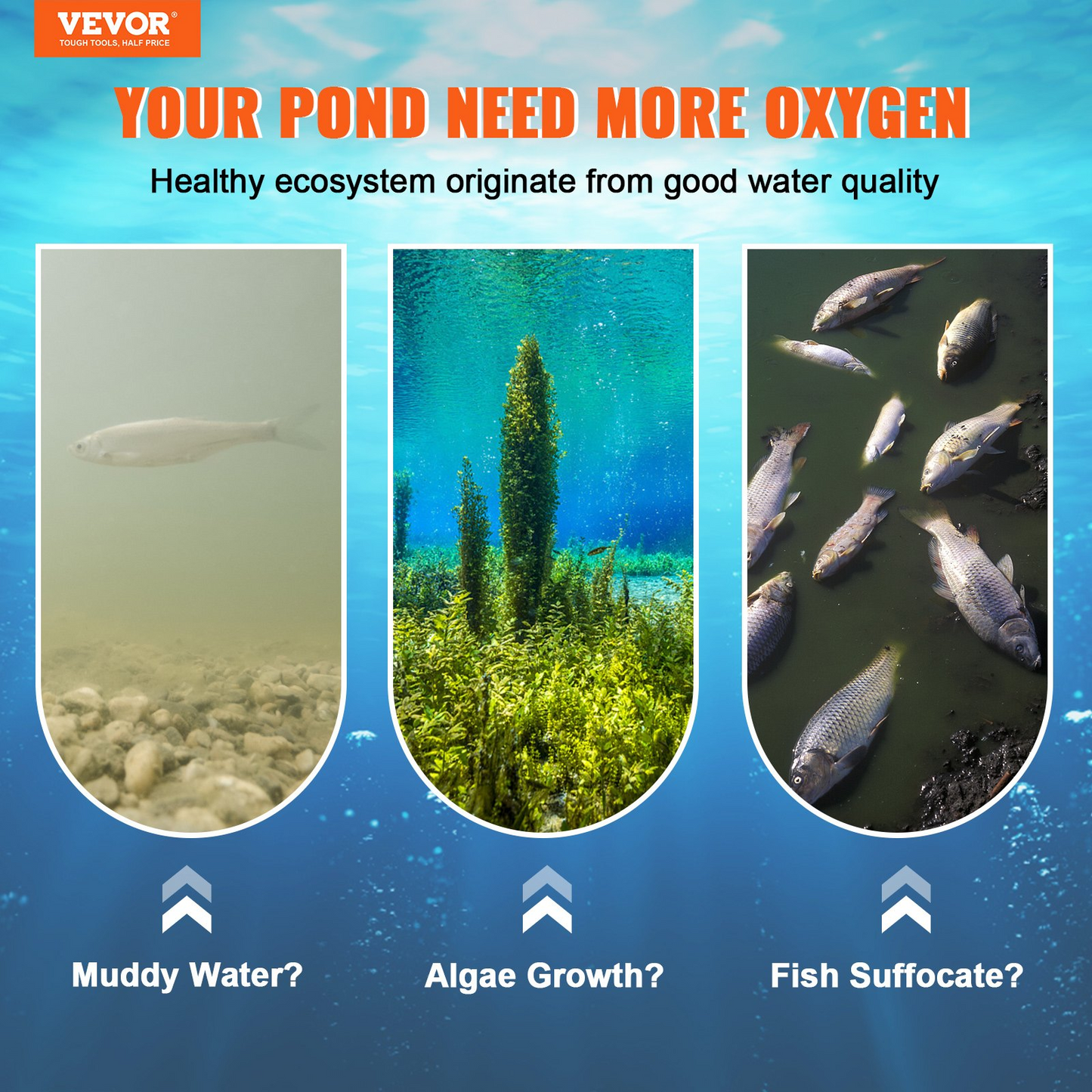 VEVOR Pond Aerator, 550W Power, 5.2CFM for Up to 3 Acre 50' Lake, Pond Aeration Kit Includes 3/4 HP Compressor & 2 100' Weighted Tubings & 2 Diffusers