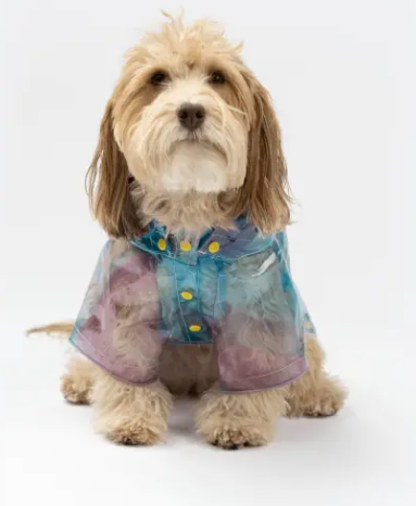 Kinney Dog Translucent Raincoat – Waterproof Psychedelic Rain Jacket with Removable Hood & Leash Opening
