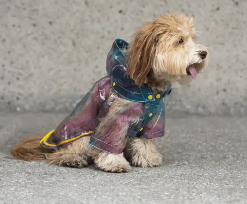 Kinney Dog Translucent Raincoat – Waterproof Psychedelic Rain Jacket with Removable Hood & Leash Opening